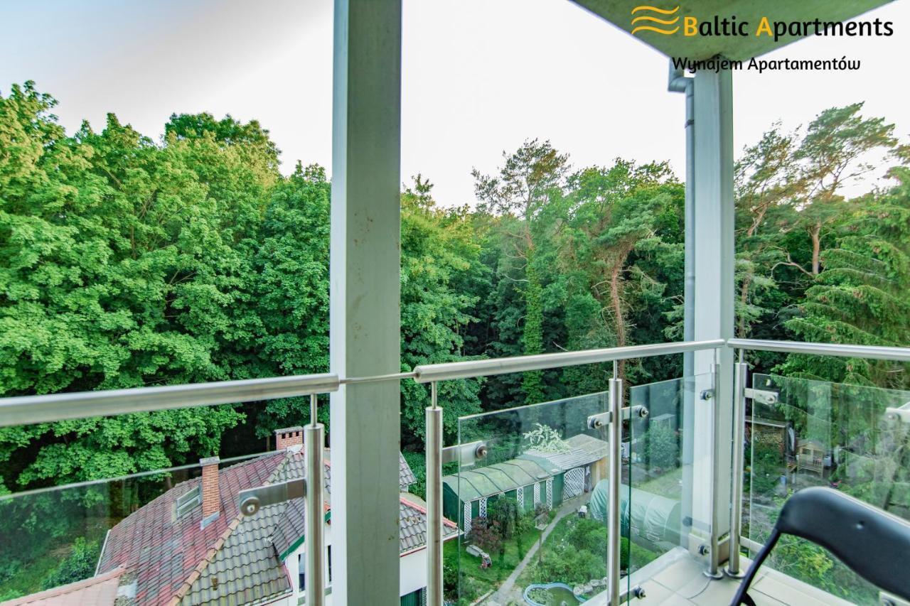 Baltic - Bursztyn * Свіноуйсьце