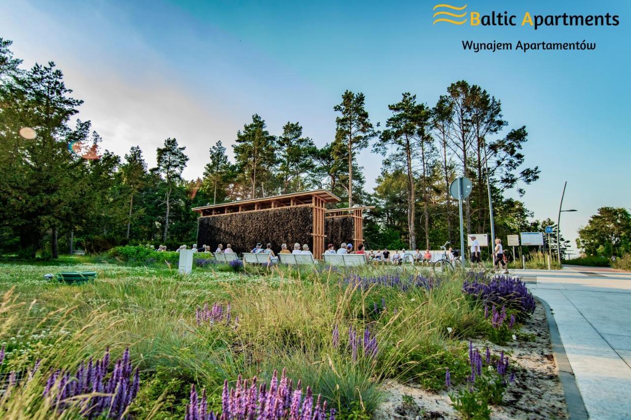Baltic - Bursztyn
